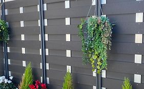 Primavera